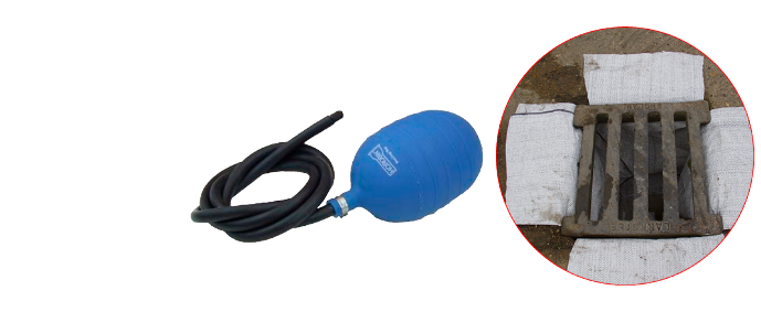 Drain seals and filters for protecting drains